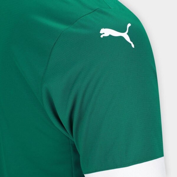 Camisa Palmeiras I 25/26 s/n Torcedor Puma Masculina - Verde - Imagem 5